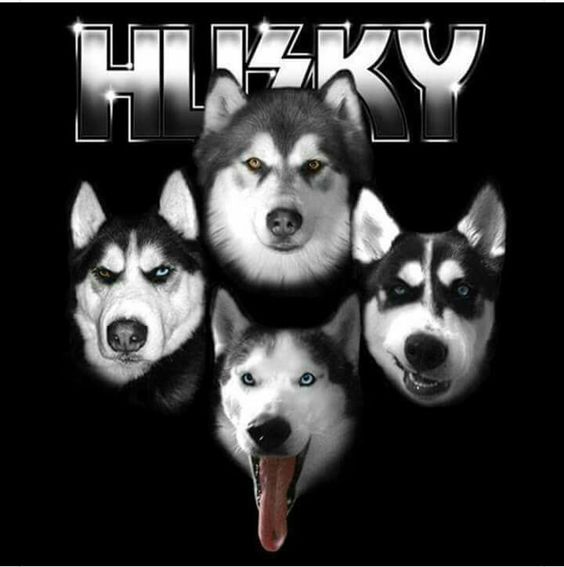 LOVE　HUSKY